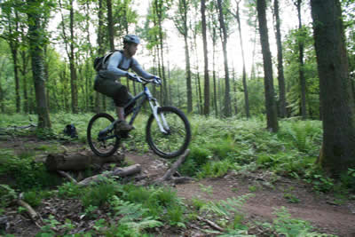Mountain Biking In the Forest of Dean